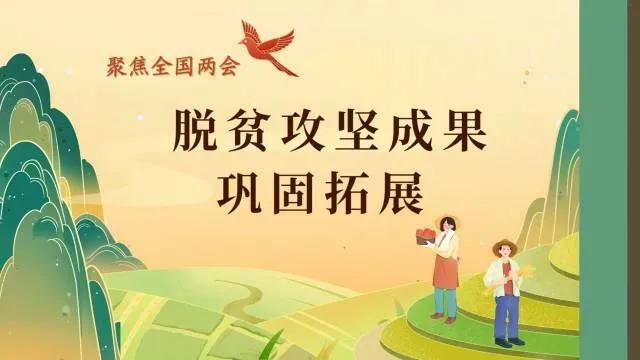 今年两会部长通道上，韩俊部长回答了记者关于脱贫攻坚成果巩固拓展的提问。作为参与过