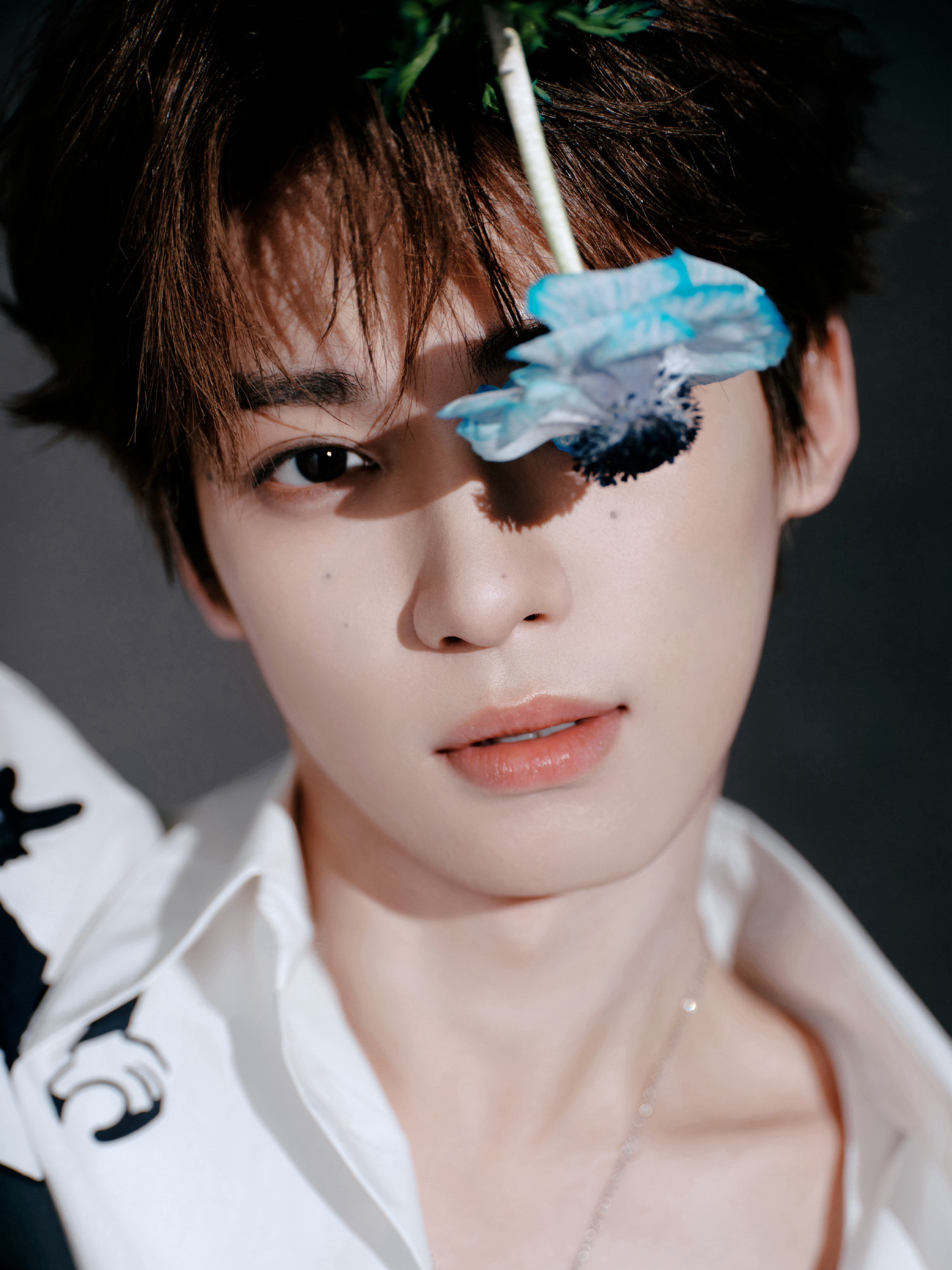 梓渝工作室又营业啦，好帅好帅，梓渝春分安康哦！ 