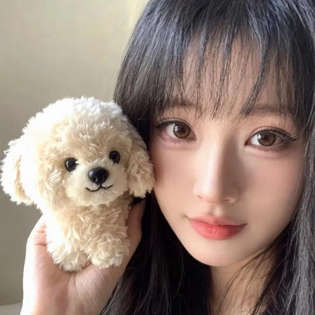 挑战一百张网感照片之萌犬自拍 我的胡思乱想能绕地球三圈半₍ᐢ. ₓ .ᐢ₎