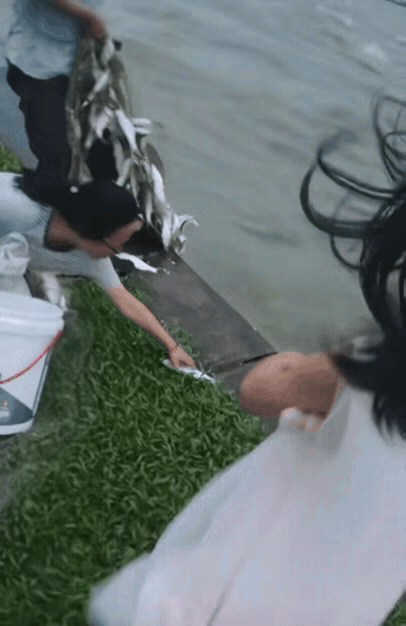 风浪越大，鱼越多。
