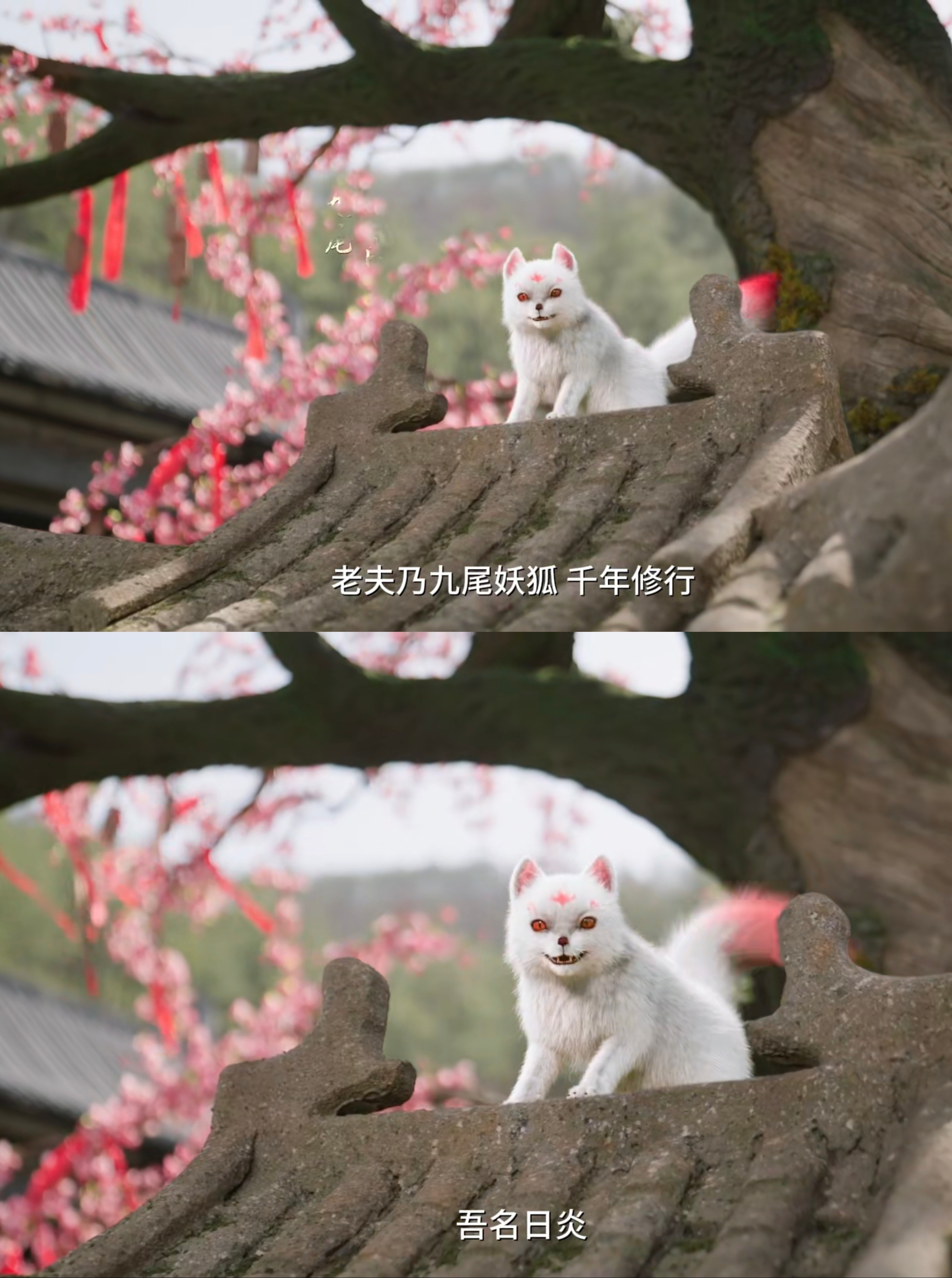 露芜衣怎么来千香客串了网剧千香 露芜衣：大家好，我来隔壁剧组打个零工。这只九尾狐