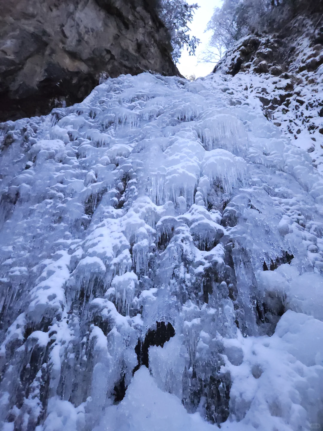 成都3h！原始森林徒，超绝冰瀑、雪中撒野！