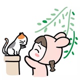 小雉热玩科技