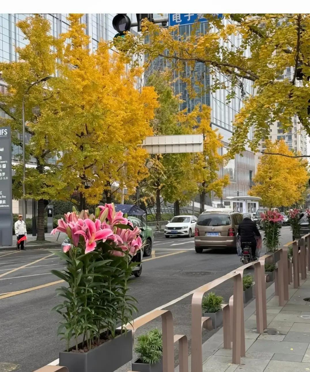 我退休那天把闹钟扔进抽屉，从此一天只吃两顿。
早上七点自然醒，电饭煲里扔两把糙米