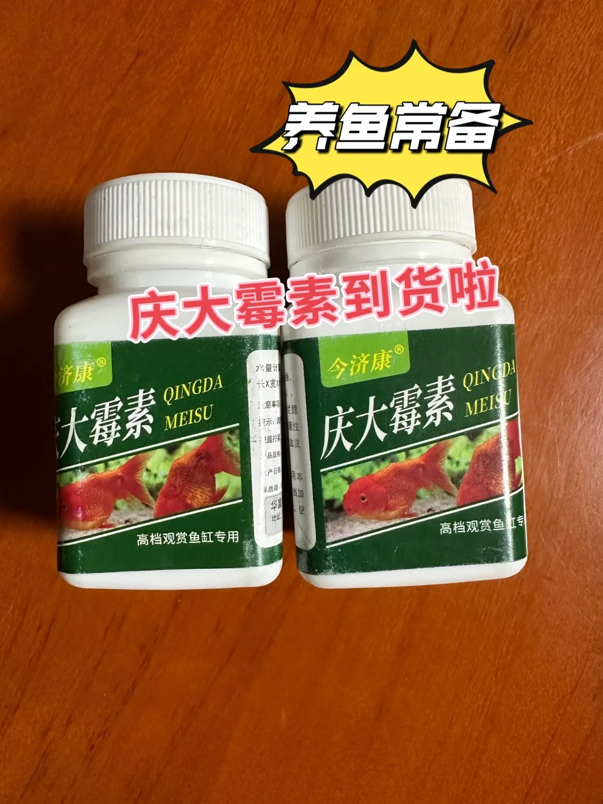 这款庆大霉素，是咱们养鱼必备良药！一瓶解决各种鱼病，不再为观赏鱼的白...