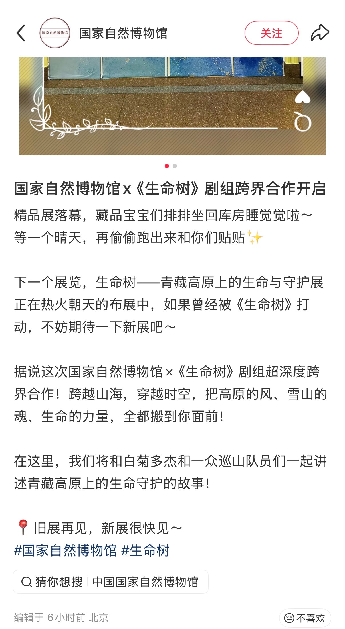 生命树和国家自然博物馆跨界联动了