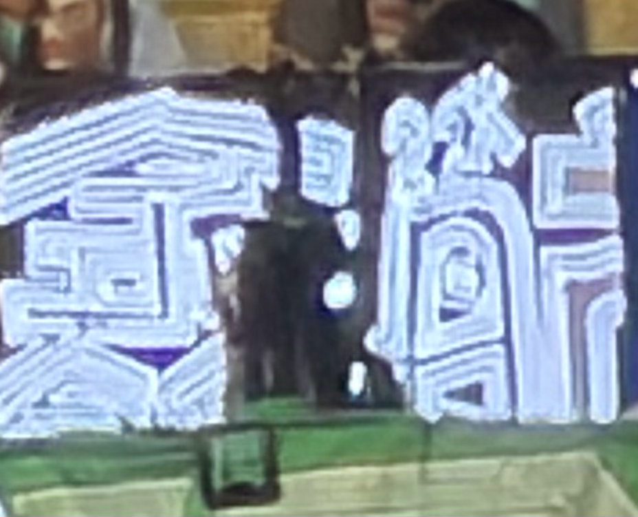 看到了一抹白光
