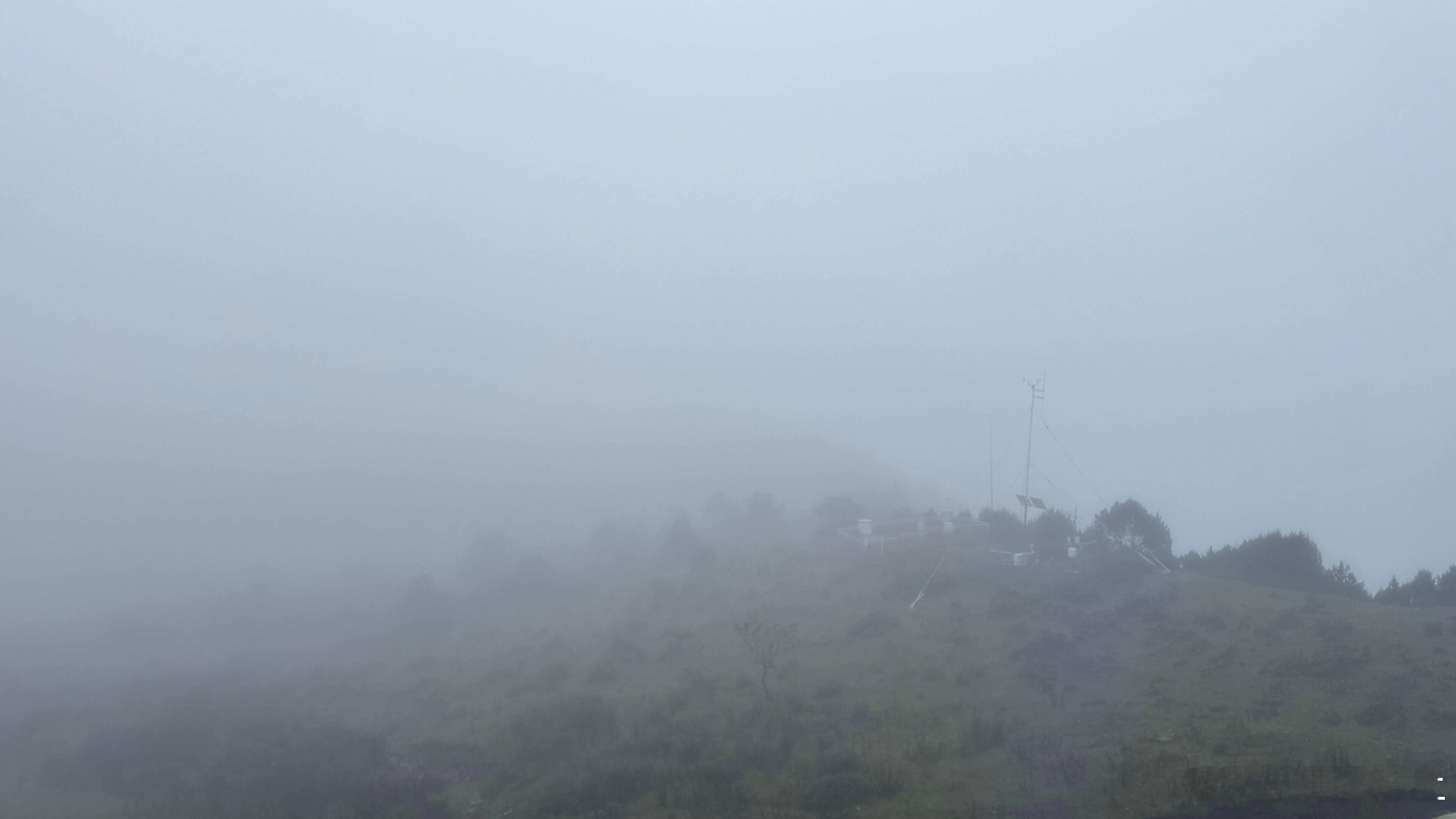 咱就说牛背山这个雾实在太大早晨想看日照金山呢都没拍到[允悲][允悲][允悲]需要
