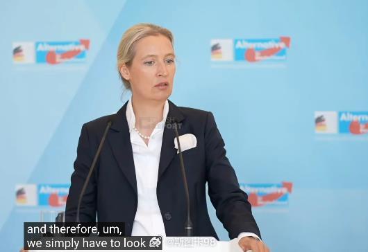 德国极右翼领袖爱丽丝.魏德尔批评特朗普：特朗普贸然发动对伊朗的这场行动，根本没有