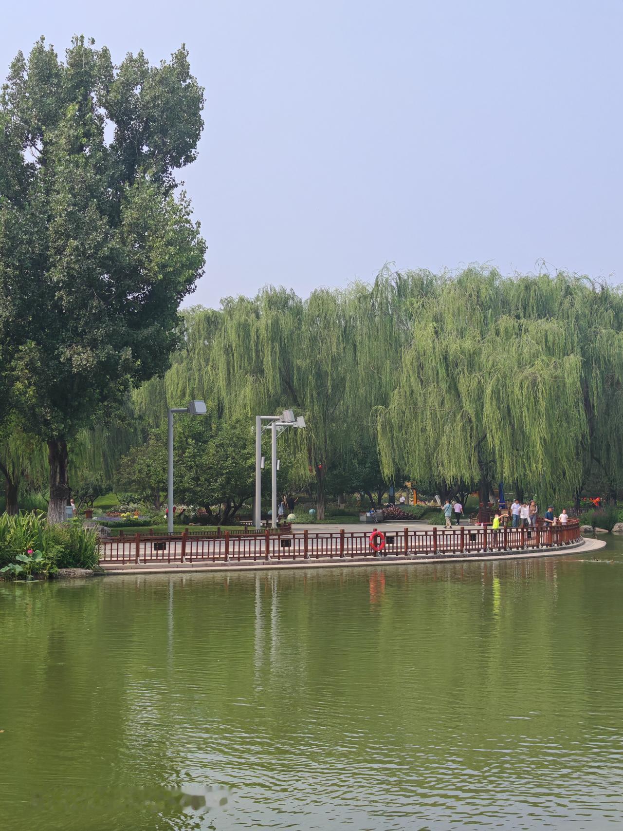 通州区北运河森林公园的风景，那真是独一份的好！它北起六环路潞阳桥、南至武窑桥，河