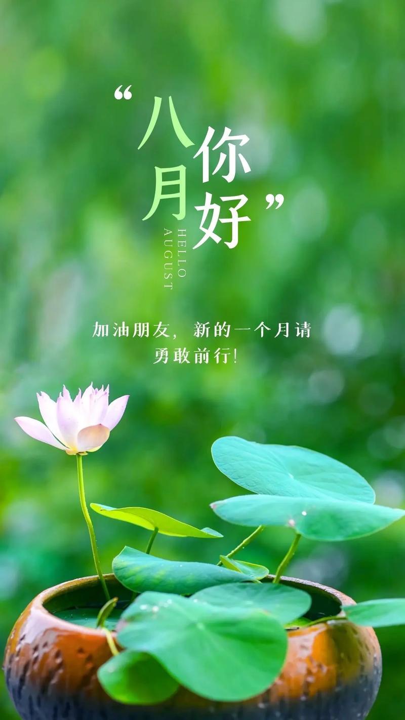 今天是公元2024年7月31日，甲辰年农历六月二十六，星期三
今天是7月的最后一