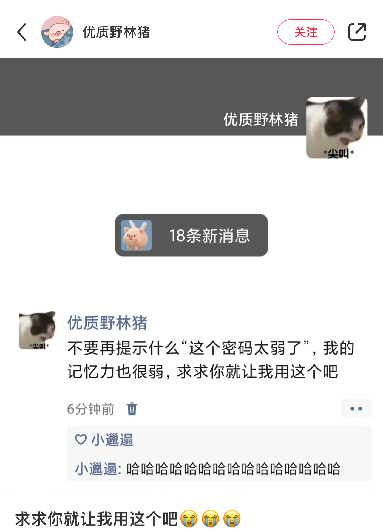求求你 让我用这个就行 ​​​