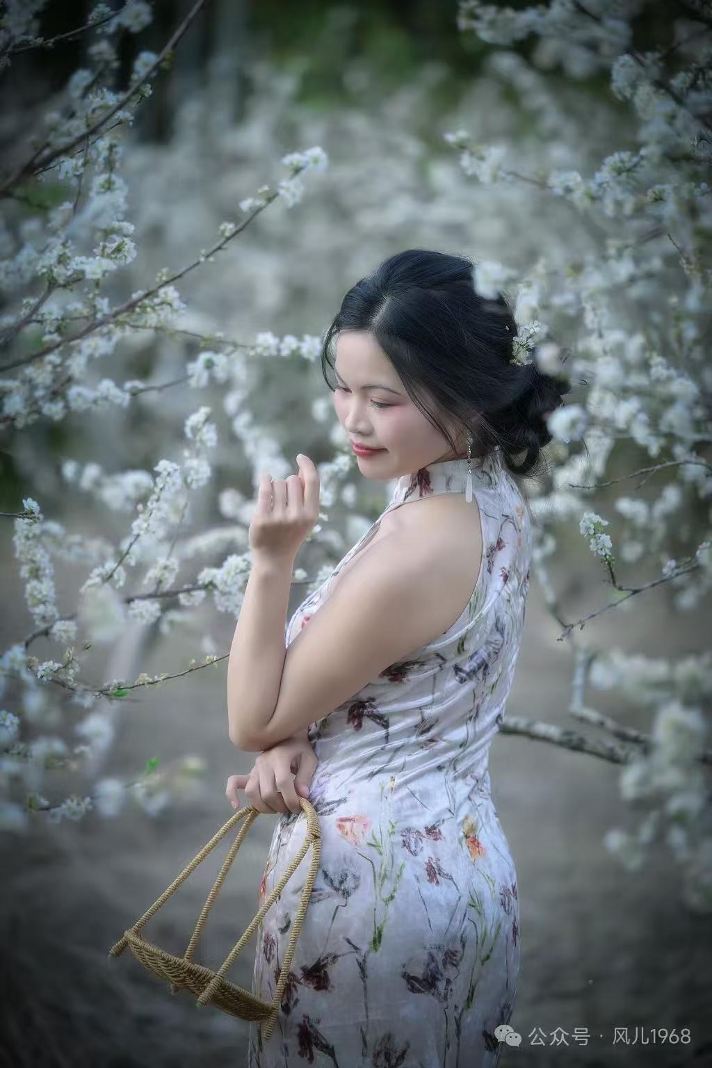 天净沙·曼妙身姿
 花间倩影娉婷，
罗衣旗袍轻盈。
疑是嫦娥降世，
春风吹醒，