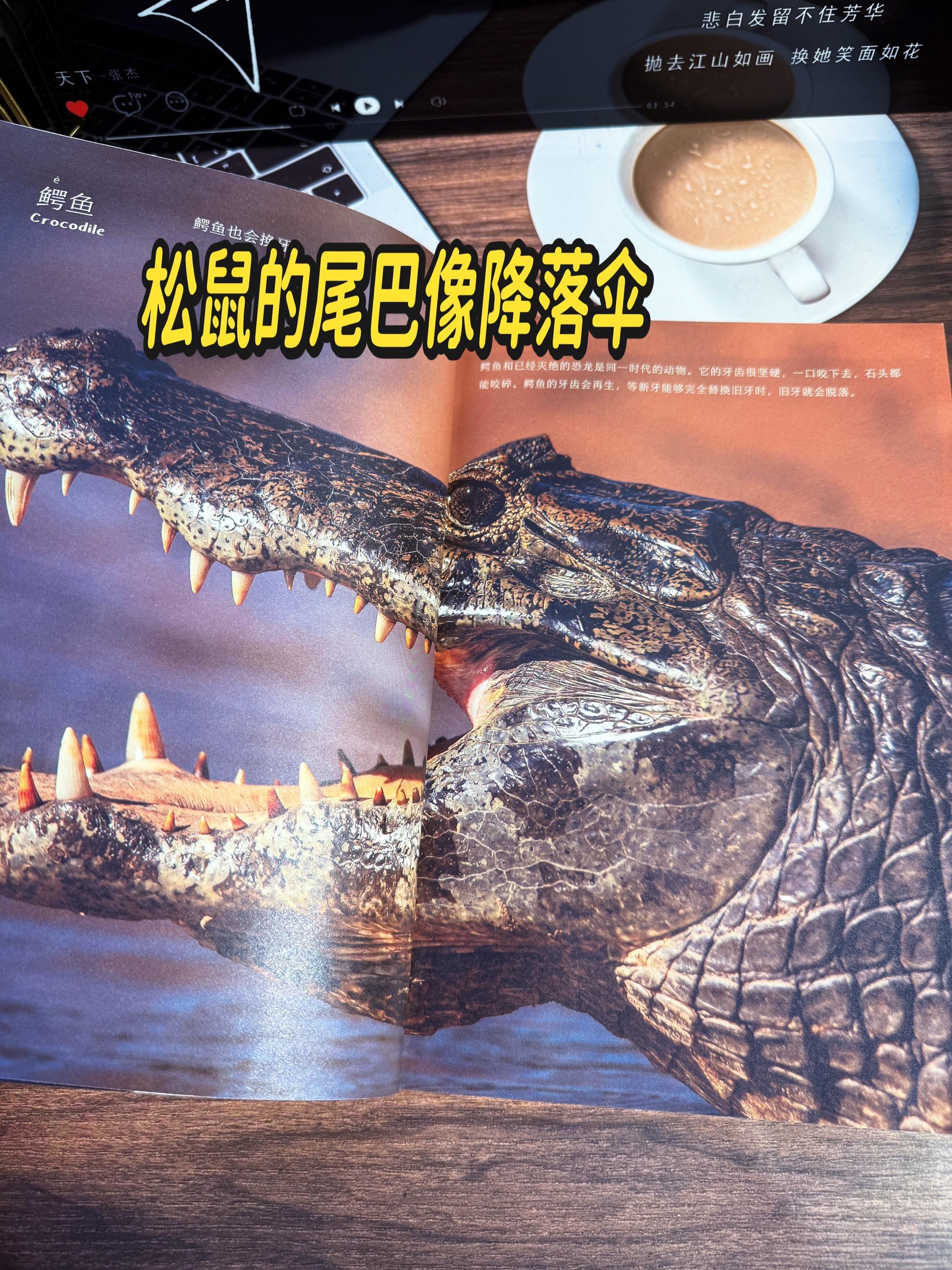 3岁就可以看的科普书！全部高清实拍大图。足足251页！包含近200种常...