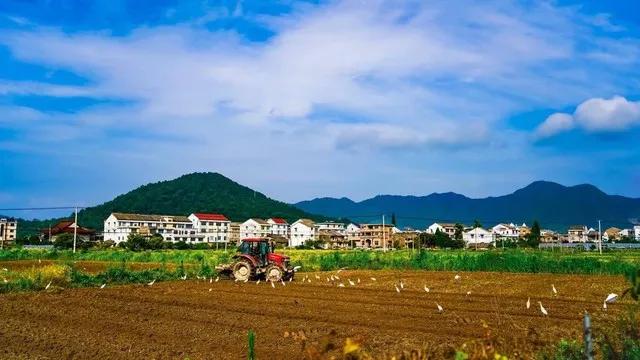 土地流转试点开始了。