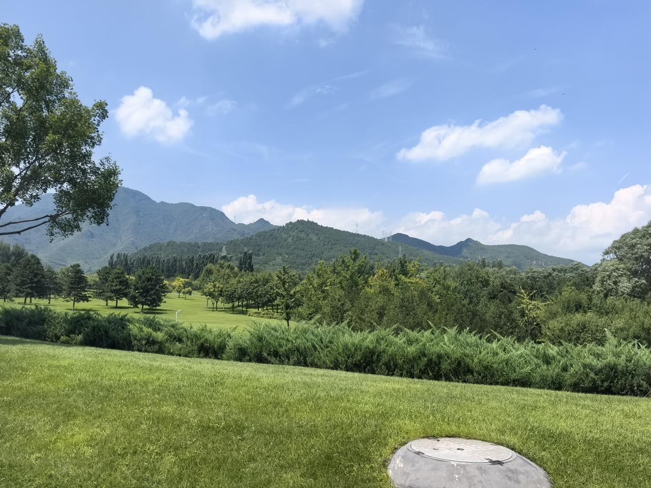 山野之夏
 
云朵轻轻摊开
铺在远山的肩头
 
漫山叠起深浅的绿
青山静静伫立