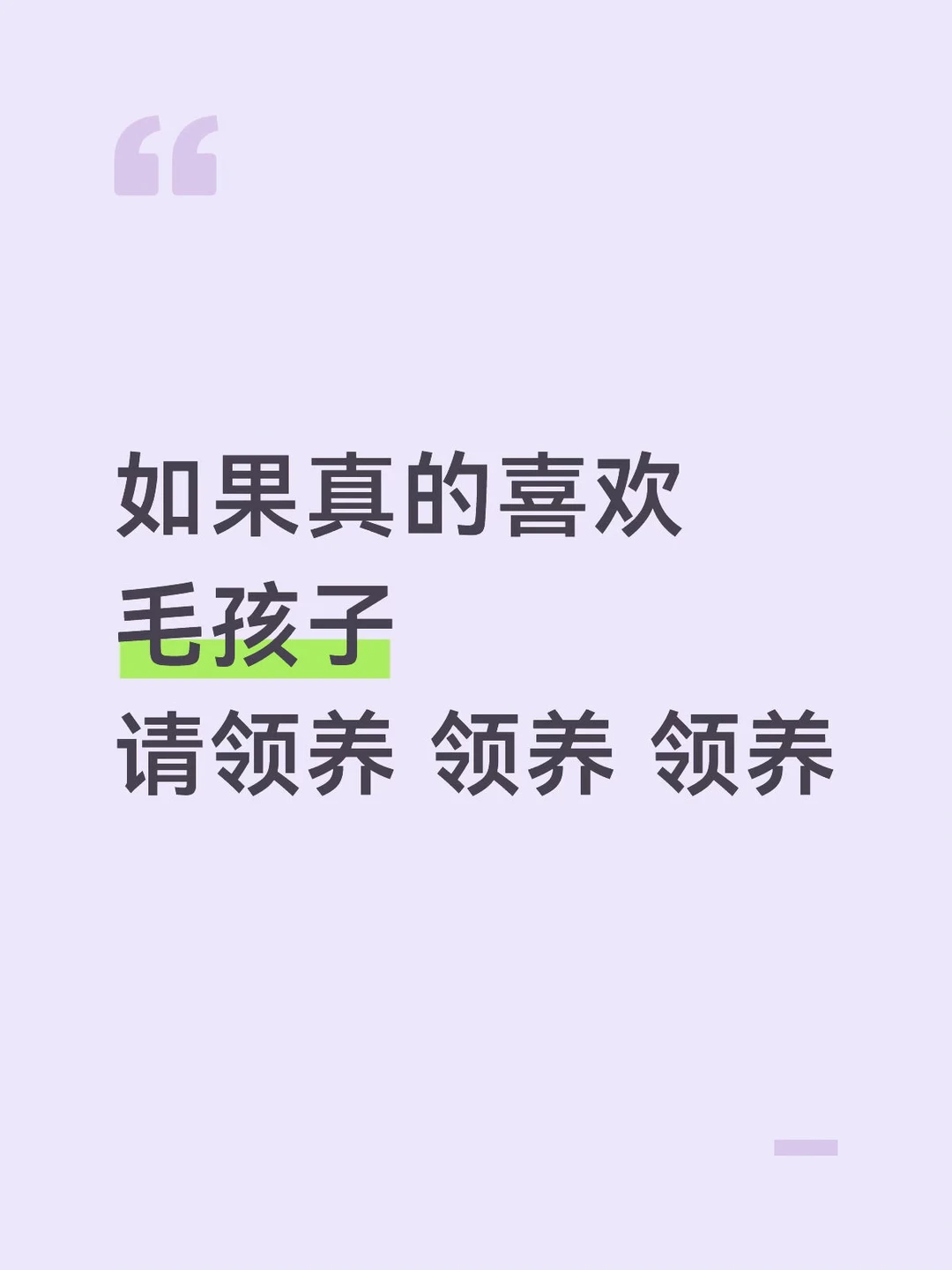 绝望的繁育犬包包