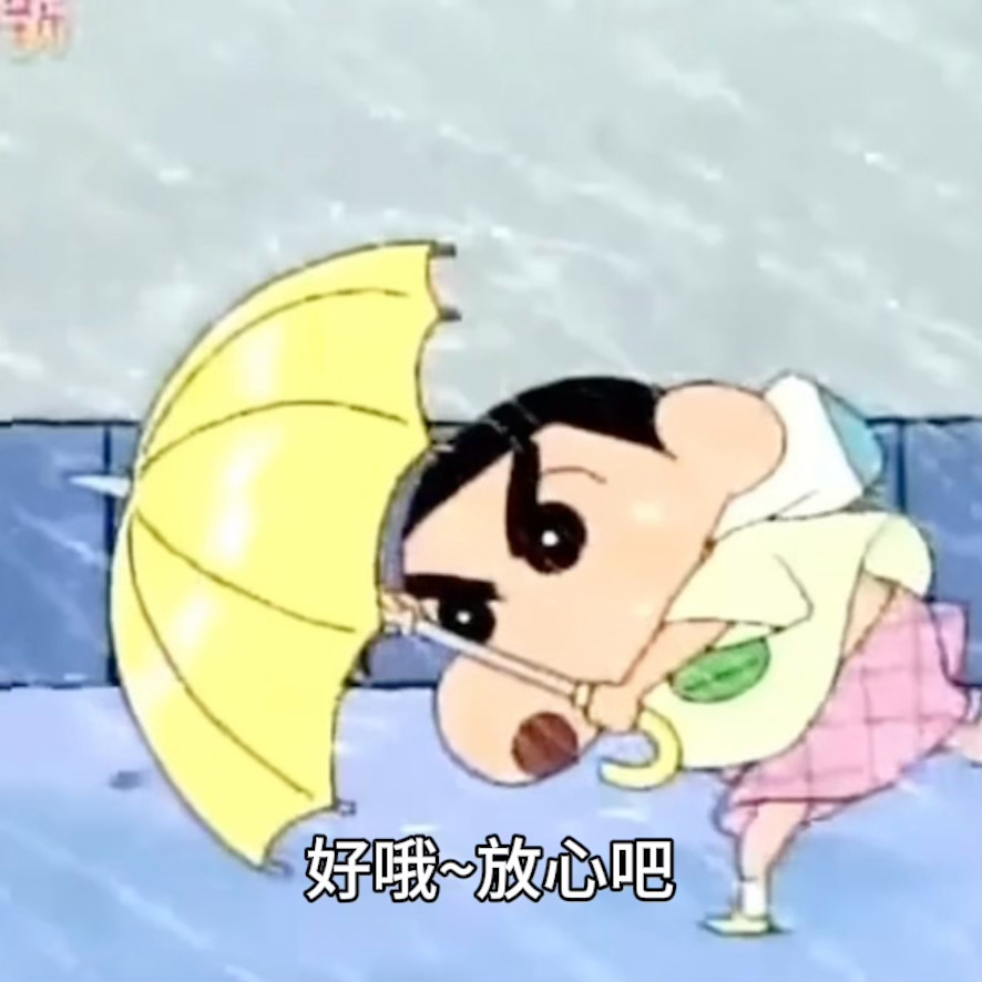黄星就这样说好哦放心吧然后边配小新风雨前进的表情包 