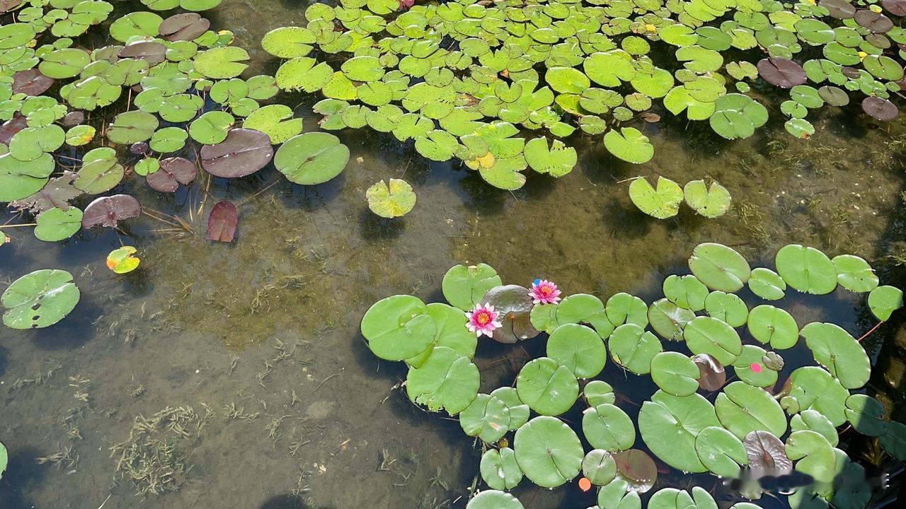 现在的人打游戏都有外部压力 从而产生罪恶感。 打游戏的时候乐在其中，像是报复性的