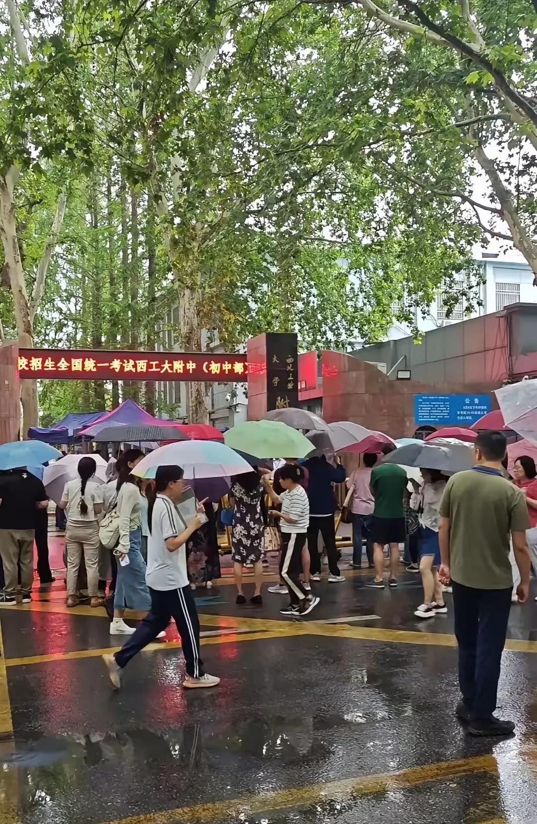 最近网上传得