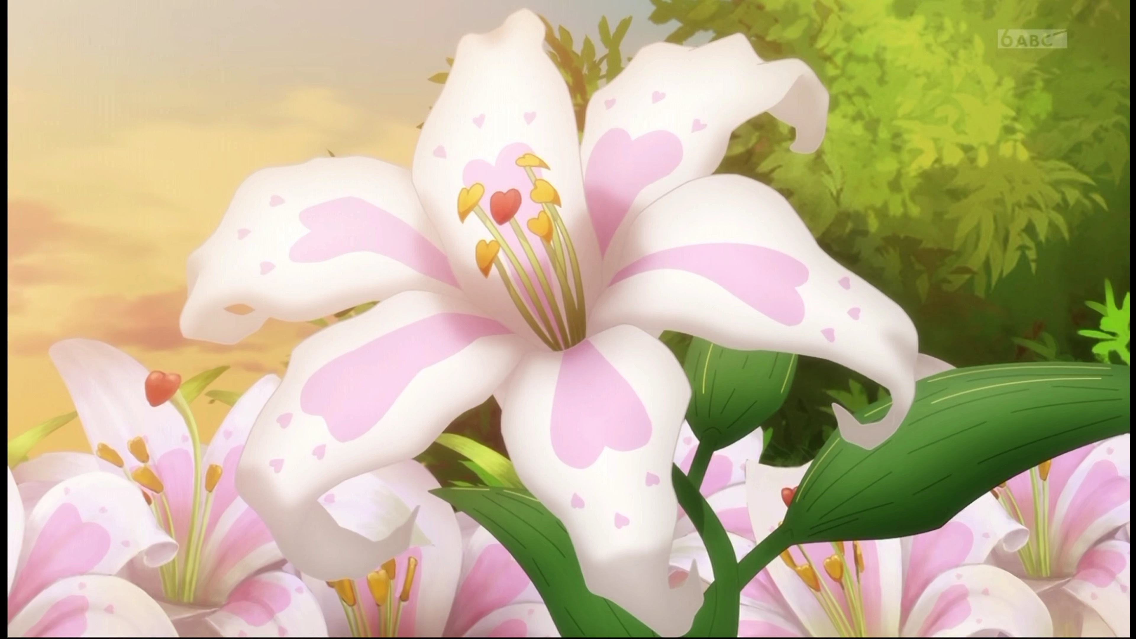 百合的花语，纯粹最早Eclair种在花园里的百合也开花了（和OP里的花一样） 