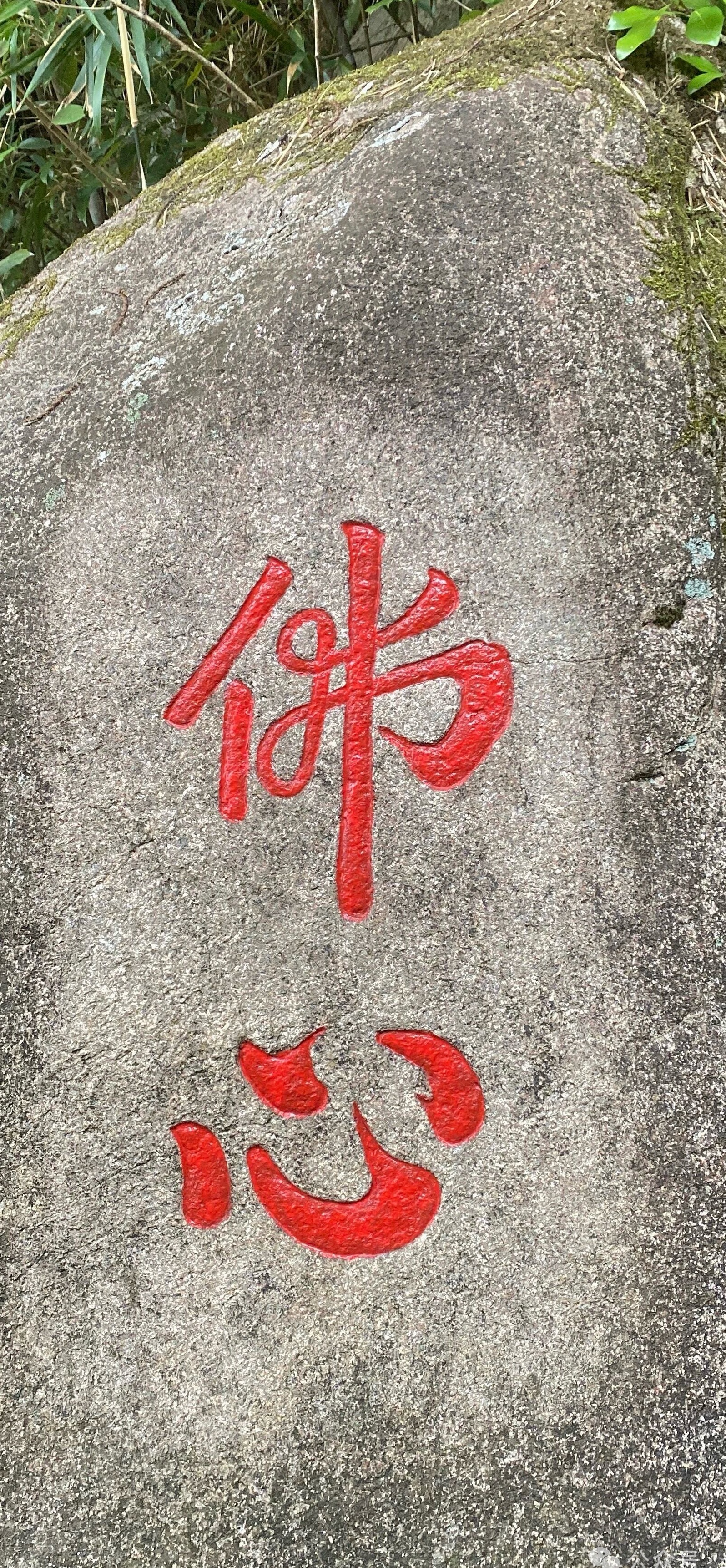 得到未必是幸，失去也未必是祸。有些拥有，是负累；有些离别，是解脱。世间万般皆为过