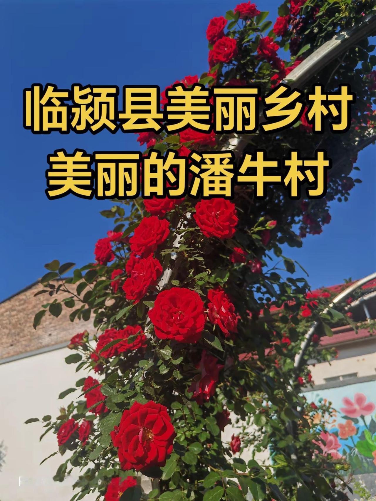 临颍县潘牛村欢迎您！ 生活不是为了赶路，而是为了感受路。享受快乐时光的一些证据。