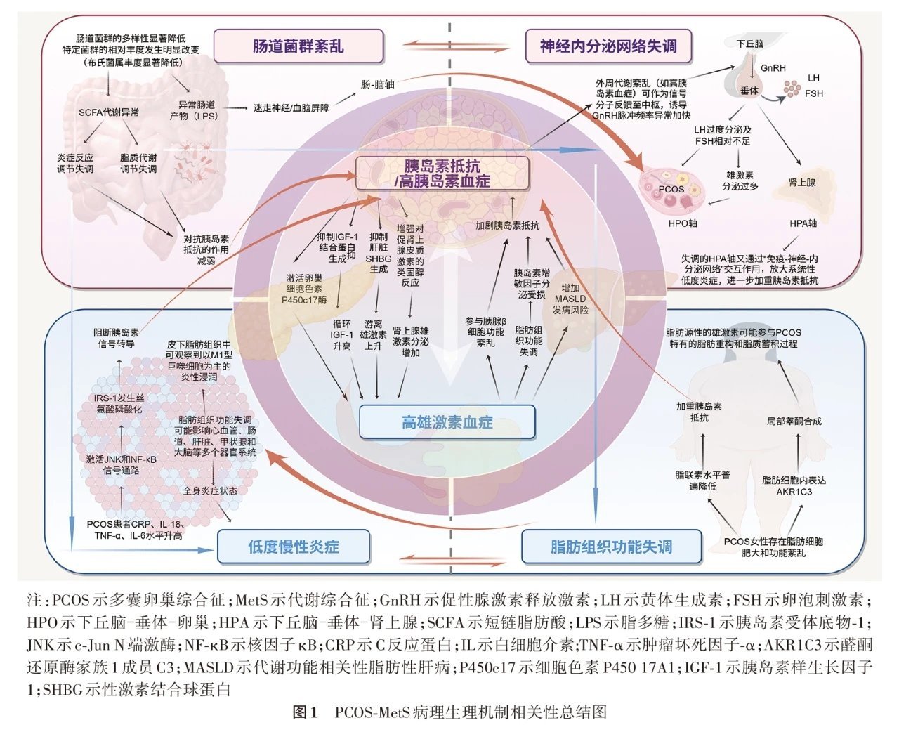 多囊卵巢综合征是全身代谢问题¹ 名字是今年改的，但临床上的对症治疗早就改了。现在