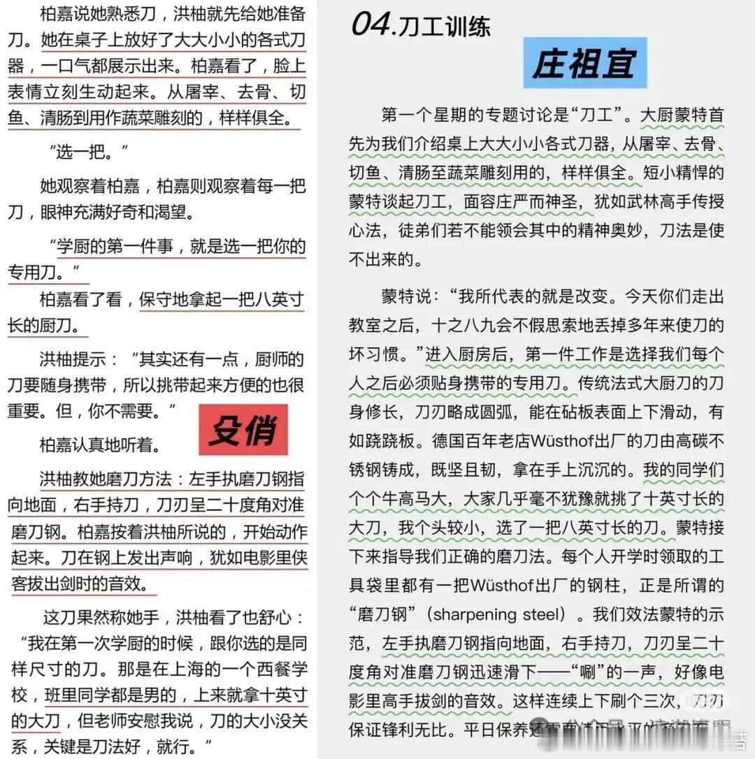 殳俏 双食记殳俏抄袭这让人想起多年前的郭敬明。抄了庄羽的《圈里圈外》，法院判了，