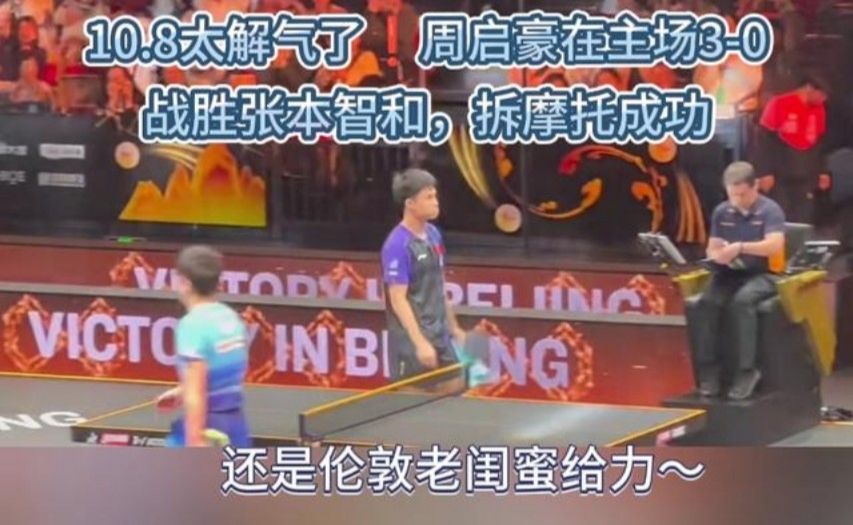 10.8太解气了❗周启豪在主场3-0战胜张本智和 还是伦敦老