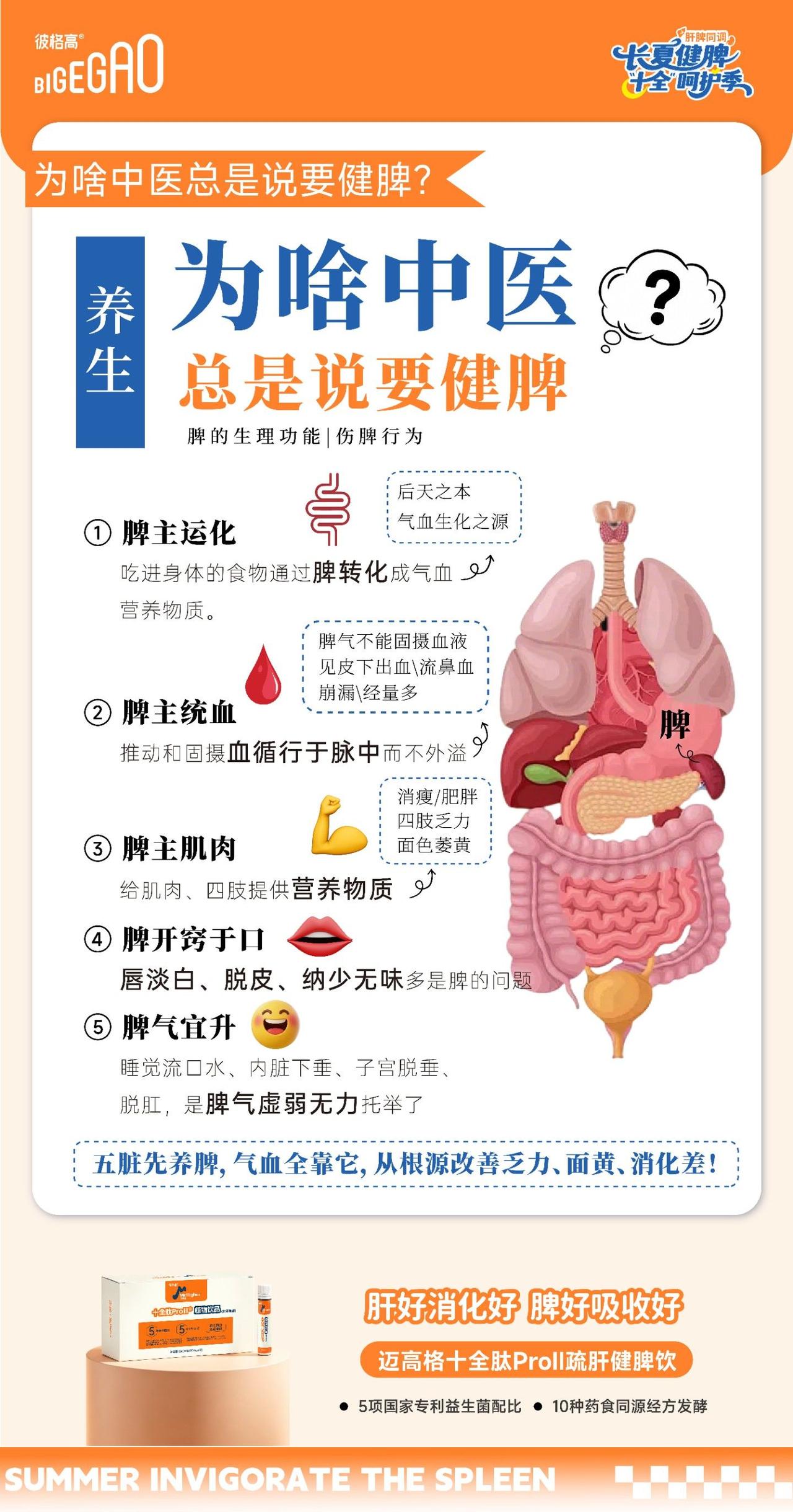 脾胃为气血之源
🥣 脾虚百病生，养脾养全身❗️
肝顺消化好，脾旺吸收足💛
长