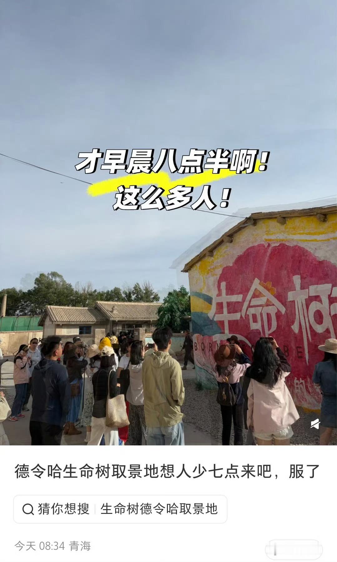 杨紫生命树让更多人看到青海，了解青海杨紫生命树夯爆了 