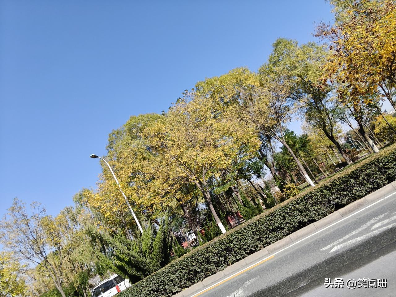 滨河西路，邂逅兰州的秋日浪漫
 
今天兰州天气特别好，就驾车一路向西行驶在兰州滨