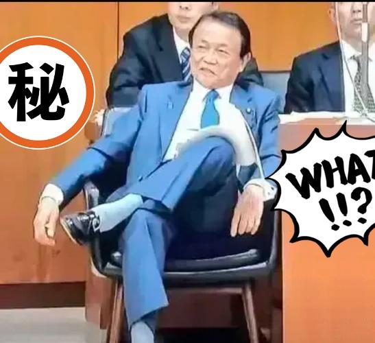 语出惊人。日本前首相麻生太郎抛关键言论孩子生了就得养背后指向不简单，​​ 

顺
