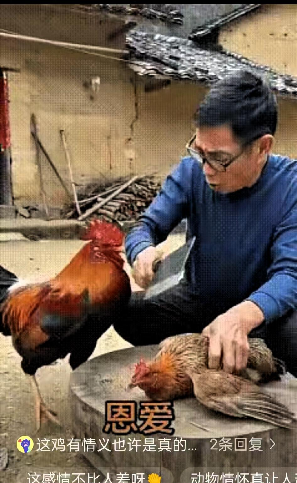 大爷总共养了2只鸡，一只公鸡一只母鸡，二者感情甚好。
 
这天家里来了远方客人，