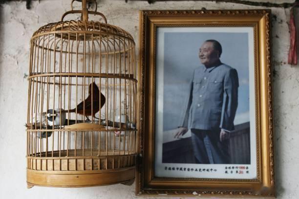 “搞活经济是在计划指导下搞活，不是离开计划的指导搞活。这就像鸟和笼子的关系一样，