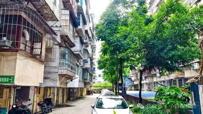 【福州家长们破防了！掏空钱包买老破小学区房，结果中考滑档】
今秋开学的这段时间，