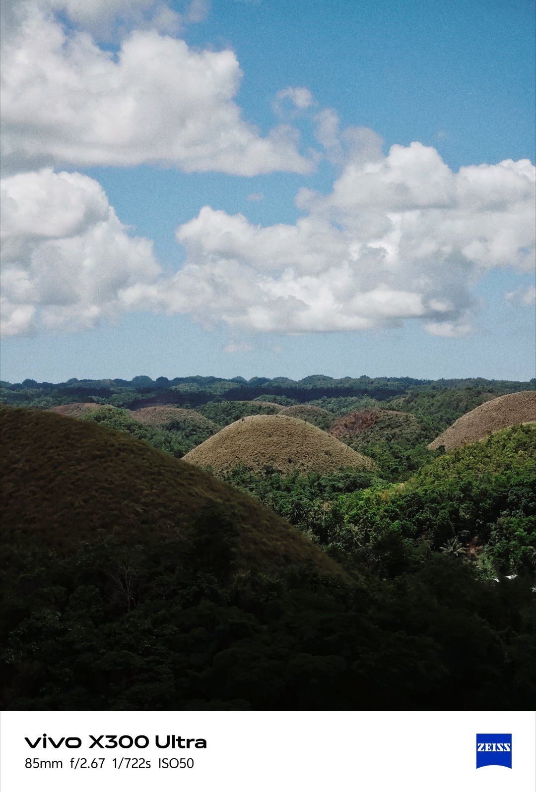 一些毫无构图意图的随手小照片 
