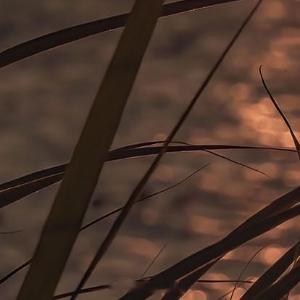 晚安心语 ‧₊⋆ ❅.˳⁺⁎˚ ☃︎⋆* ❆·· ☃︎*‧₊. ⋆ ∗.˳⁺⁎˚