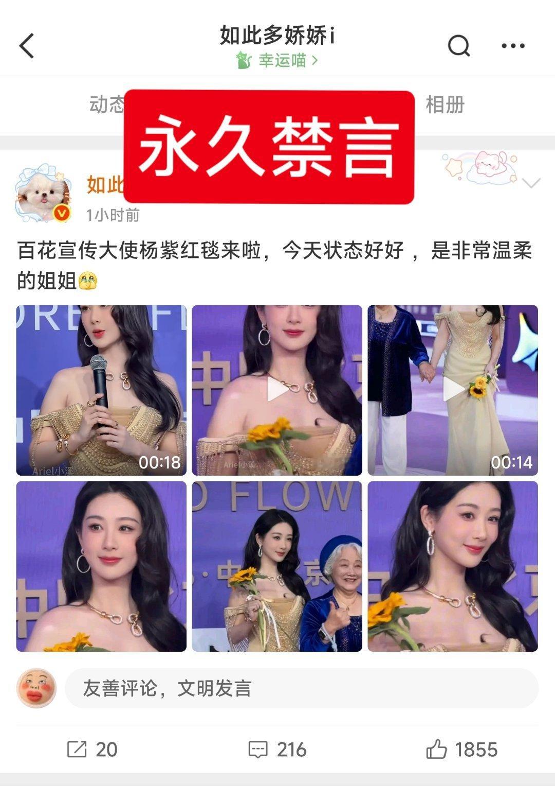 百花奖内场座位图内娱百家大黑子温如也，最后一条微博，是发的杨紫百花奖红毯。