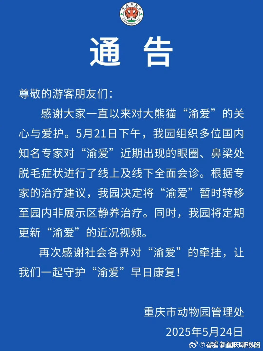 【#重庆动物园将渝爱转移至非展区治疗#】5月24日，发布公告：5月21日下午，我