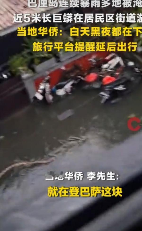 巴厘岛这天气真是让人捉摸不透，暴雨说来就来。更离谱的是，居然有条近5米长的巨蟒在