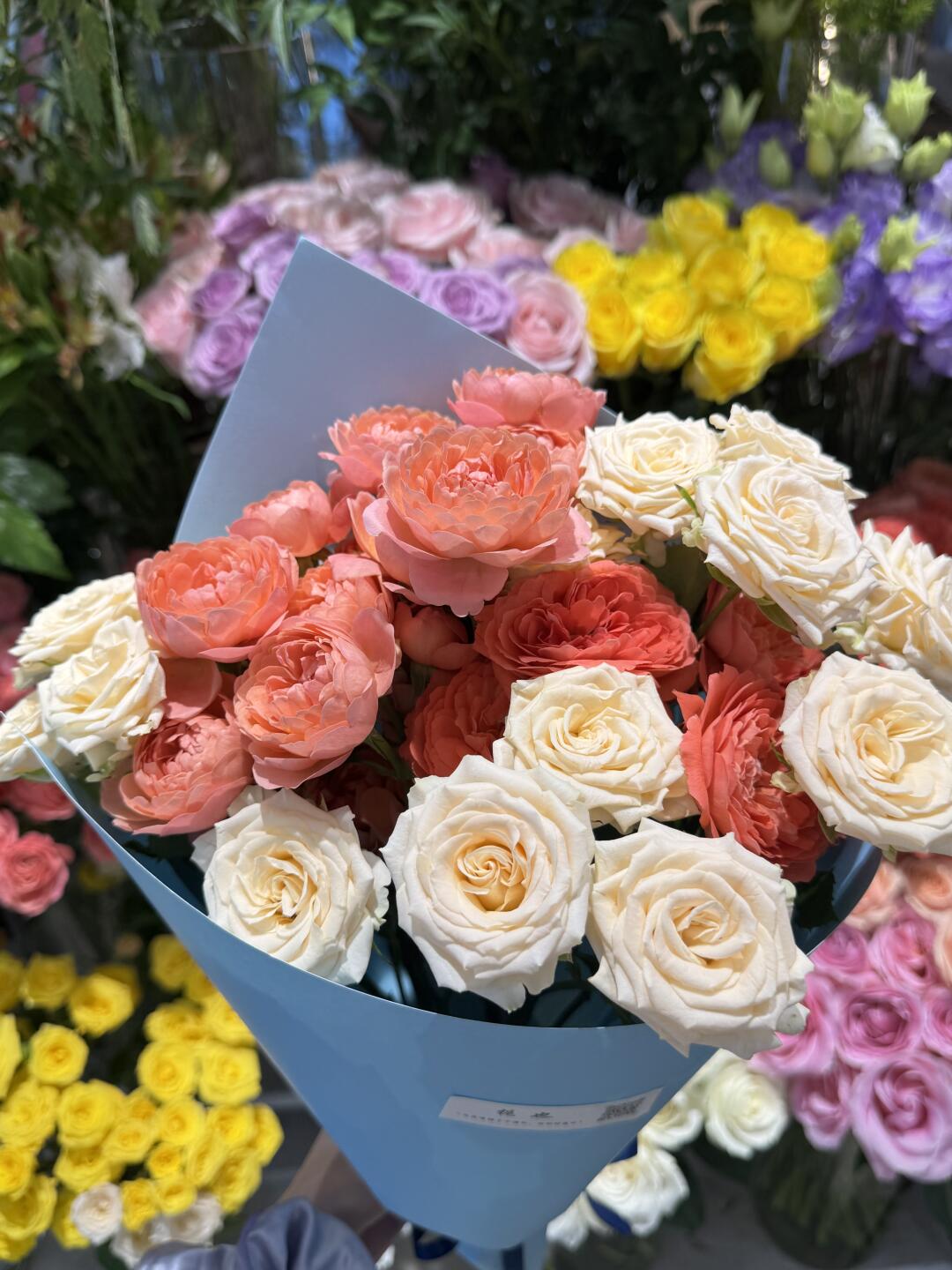 喜欢花花热爱生活