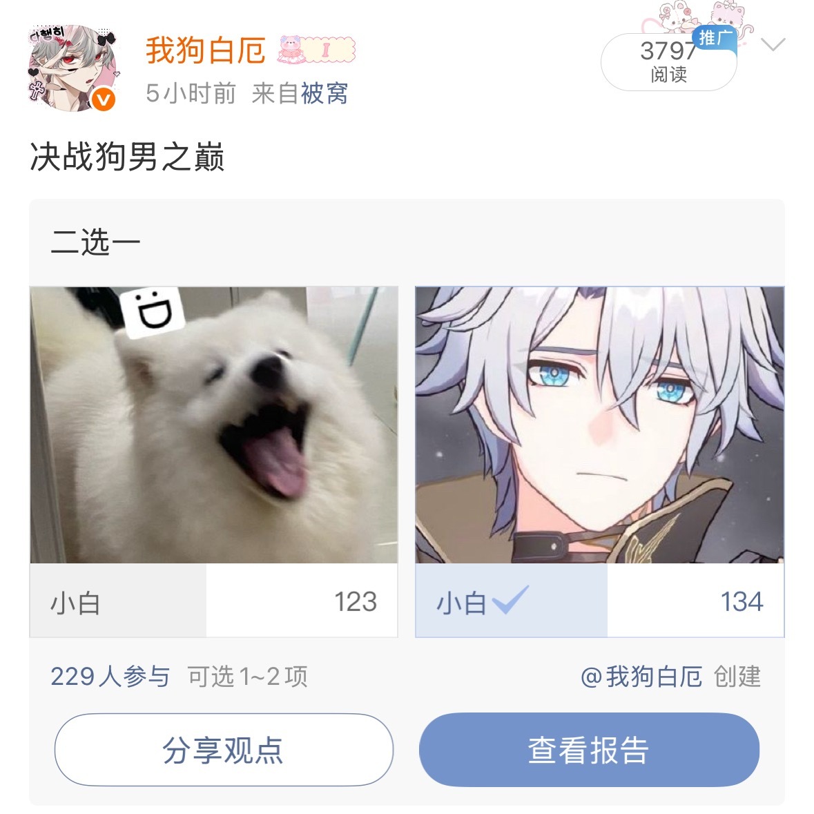 小白要干不过小白了 