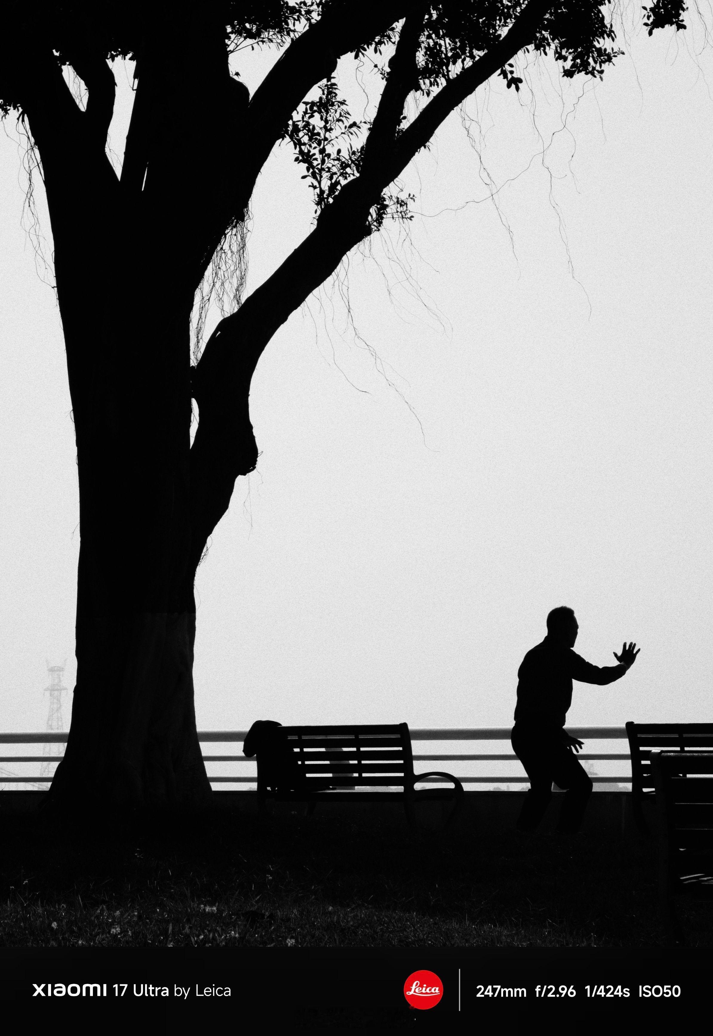 早☀️每日早起打卡