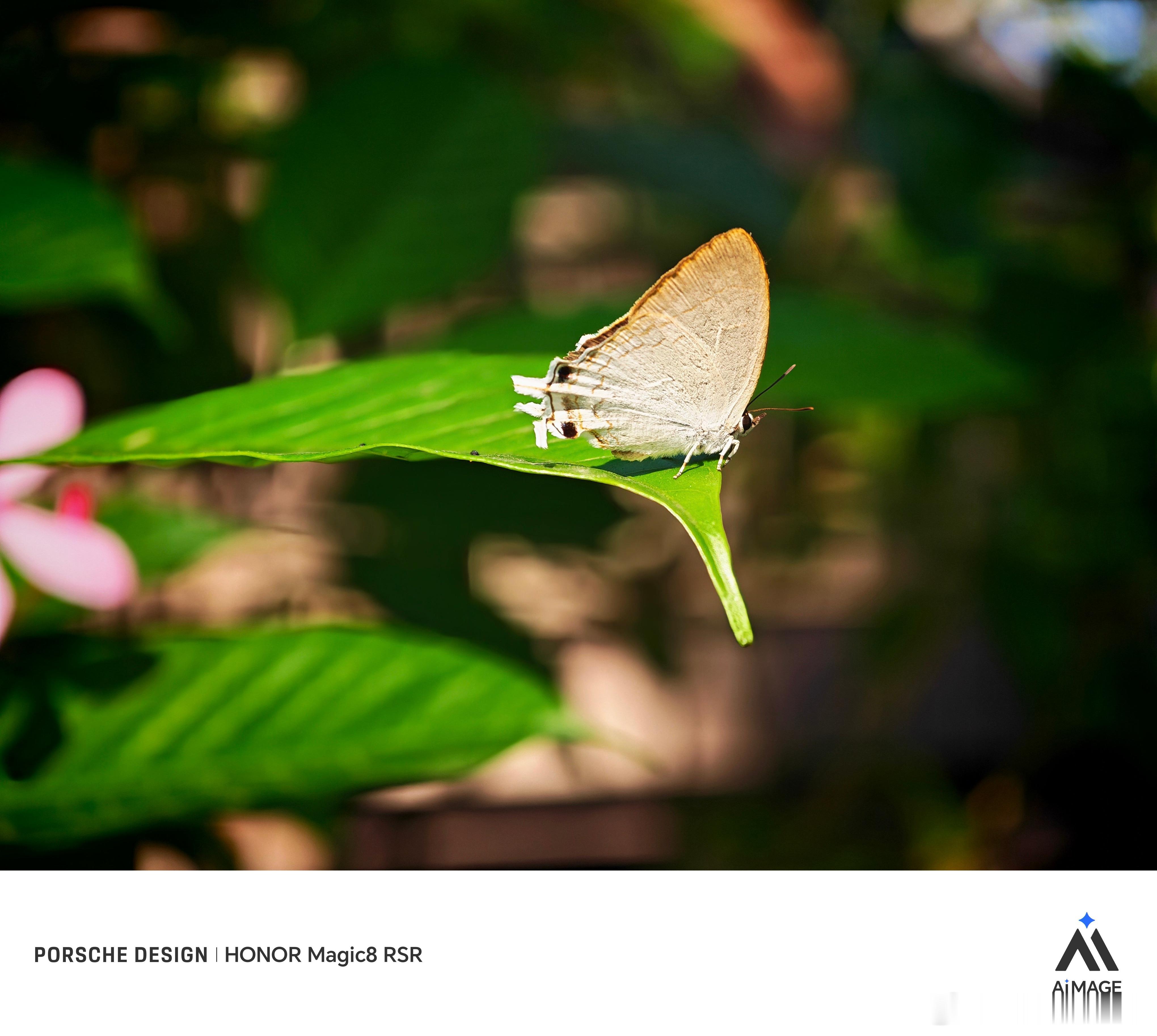 在清迈旅行时，用荣耀Magic8  RSR随手拍，好用，爱拍光影越来越有感觉了。