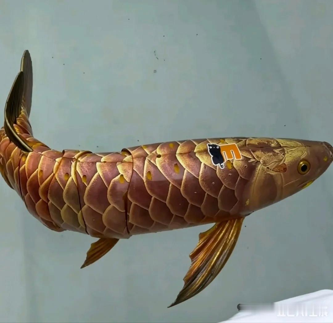 4月30日，据社交网站报道，4月23日，海军成立77周年纪念日时，大连舰艇开放活