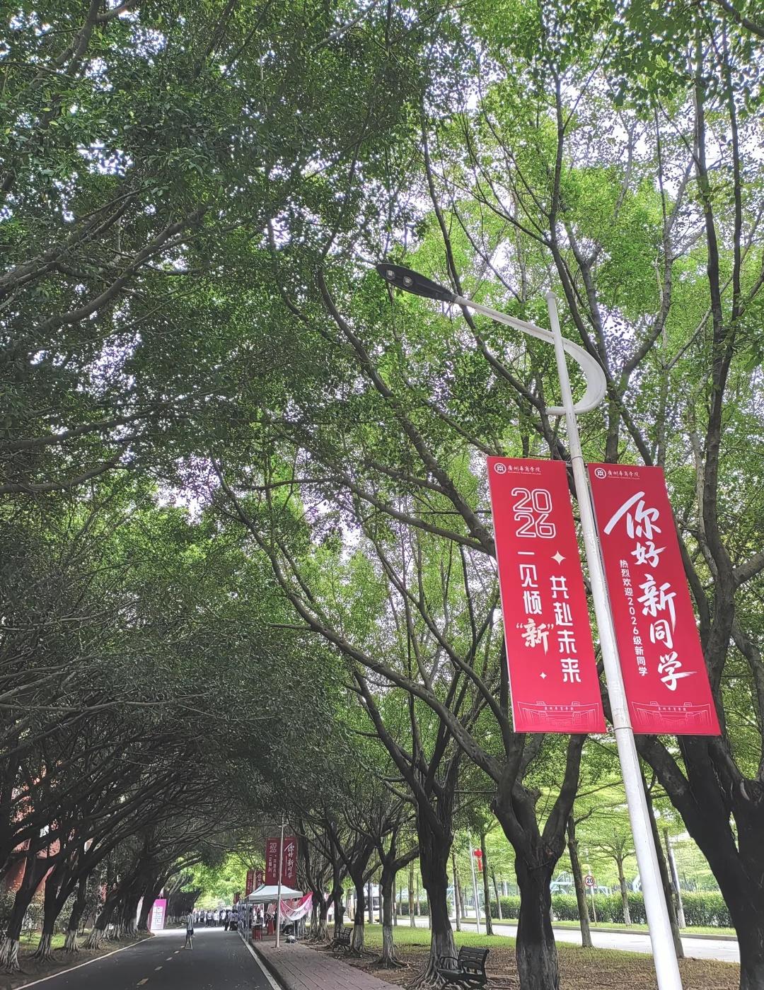 你好，新同学！我们在华商等你！
迎新 新生报到 走读岭南正当时 向往的大学生活广