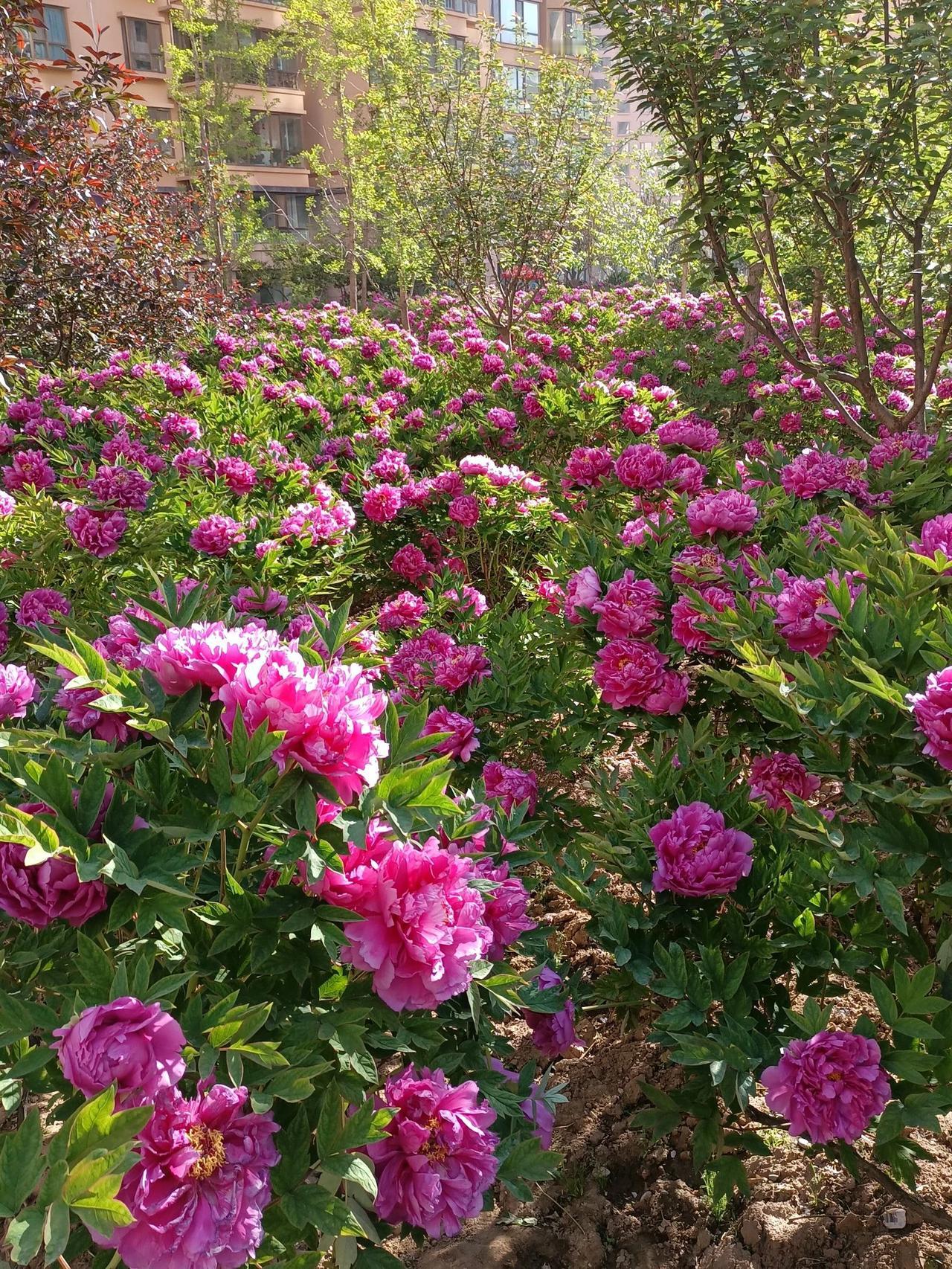 今日自律打卡拒绝拖延，高效做事，认真生活，成为更好的自己！
自律打卡那些事 自律