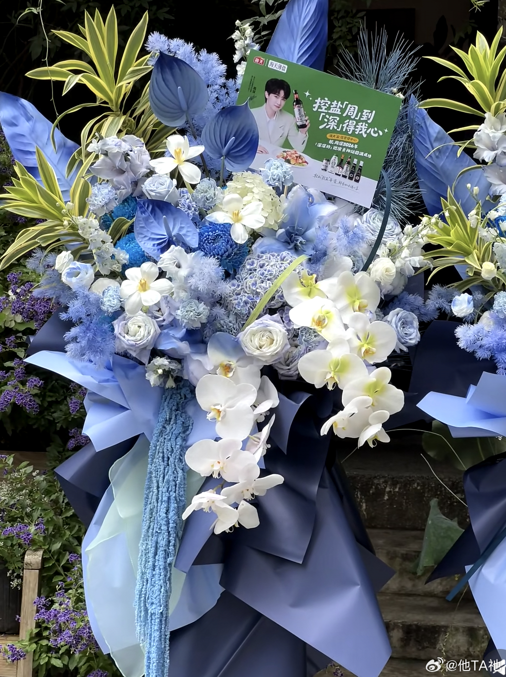 海天送的💐💐（）演出顺利周深 周深2026深深的巡回演唱会﻿